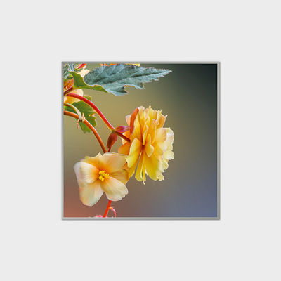 33.2 इंच वर्ग एलसीडी डिस्प्ले 420nits शॉपिंग मॉल के लिए एलवीडीएस एलसीडी मॉड्यूल