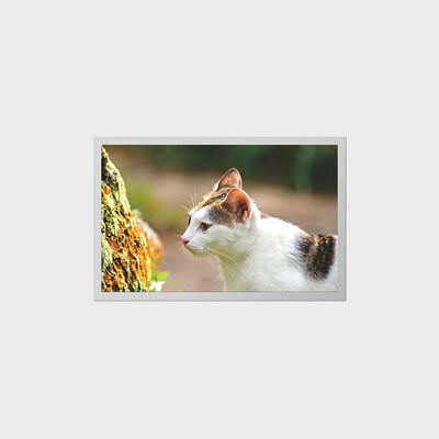 पोर्टेबल मेडिकल उपकरणों के लिए कम बिजली खपत वाली एलसीडी के साथ 12.1 इंच टीएफटी डिस्प्ले