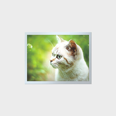 औद्योगिक उपकरण पैनलों के लिए 15 इंच उच्च चमक टीएफटी लंबा जीवनकाल एलसीडी