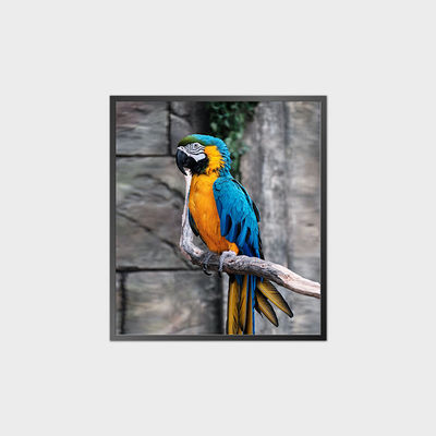 हाई कंट्रास्ट स्क्वायर एलसीडी पैनल 35.6 इंच 950*1080 500nit एंड्रॉयड सिस्टम के साथ