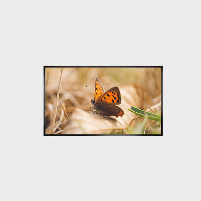 43 इंच एलसीडी पैनल 2000nits 1920*1080 LCMA-RX0430GL13-Z200