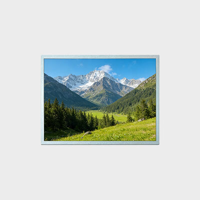 1024*768 रेज़ोल्यूशन सपोर्ट के साथ 15 इंच TFT LCD डिस्प्ले -30~80°C सॉल्यूशन